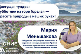 Цветущая тундра: субботник на горе Горелая — красота природы в наших руках!